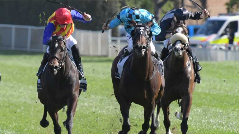 Under siege: Siege of Quebec out toughs Pierata in the Bill Ritchie Handicap.