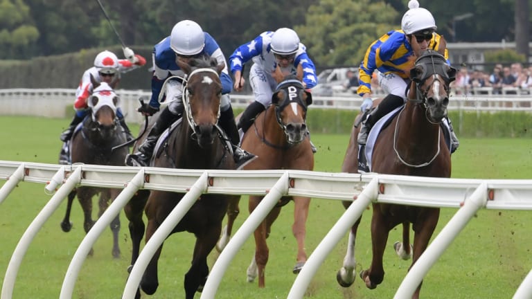 Rails run: Campari wins at Randwick on Melbourne Cup day.