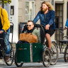 A third of residents cycle to work in Copenhagen.