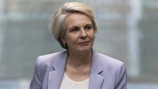 Environment Minister Tanya Plibersek can’t say when her “nature positive plan” will be completed.