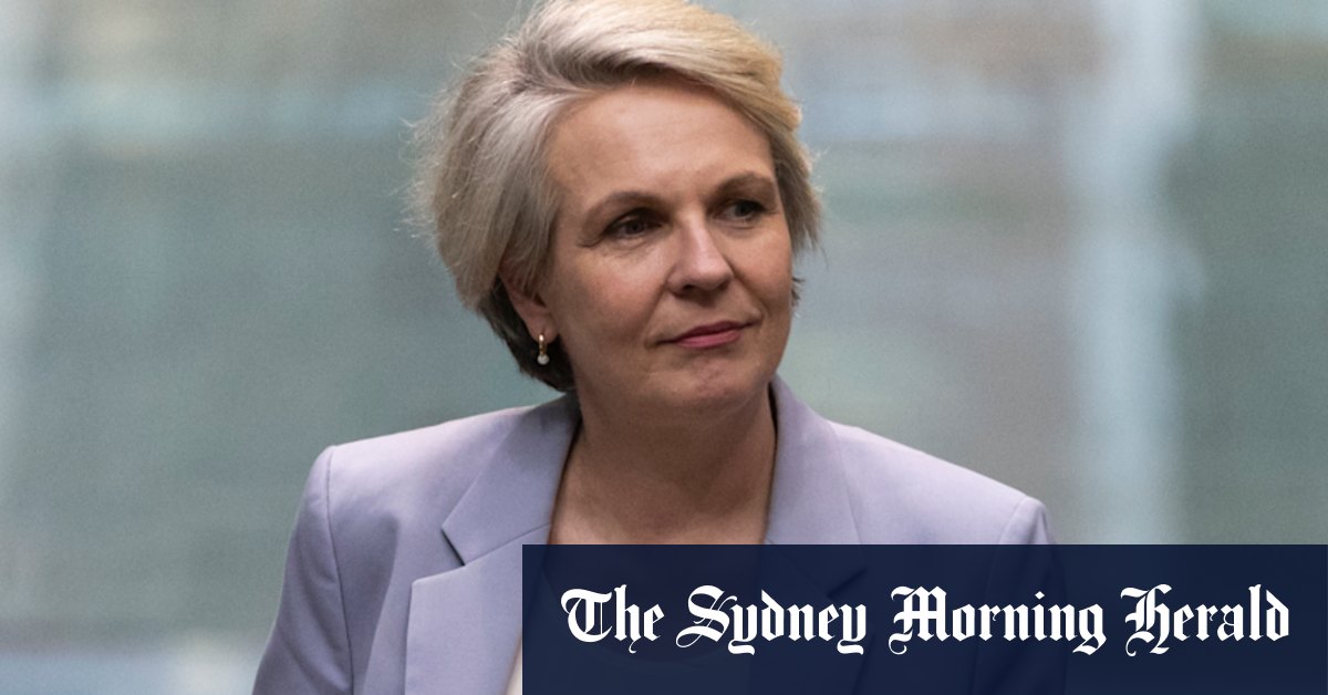 Why Tanya Plibersek's Environment Minister tenure is so broken - Vimarsana News