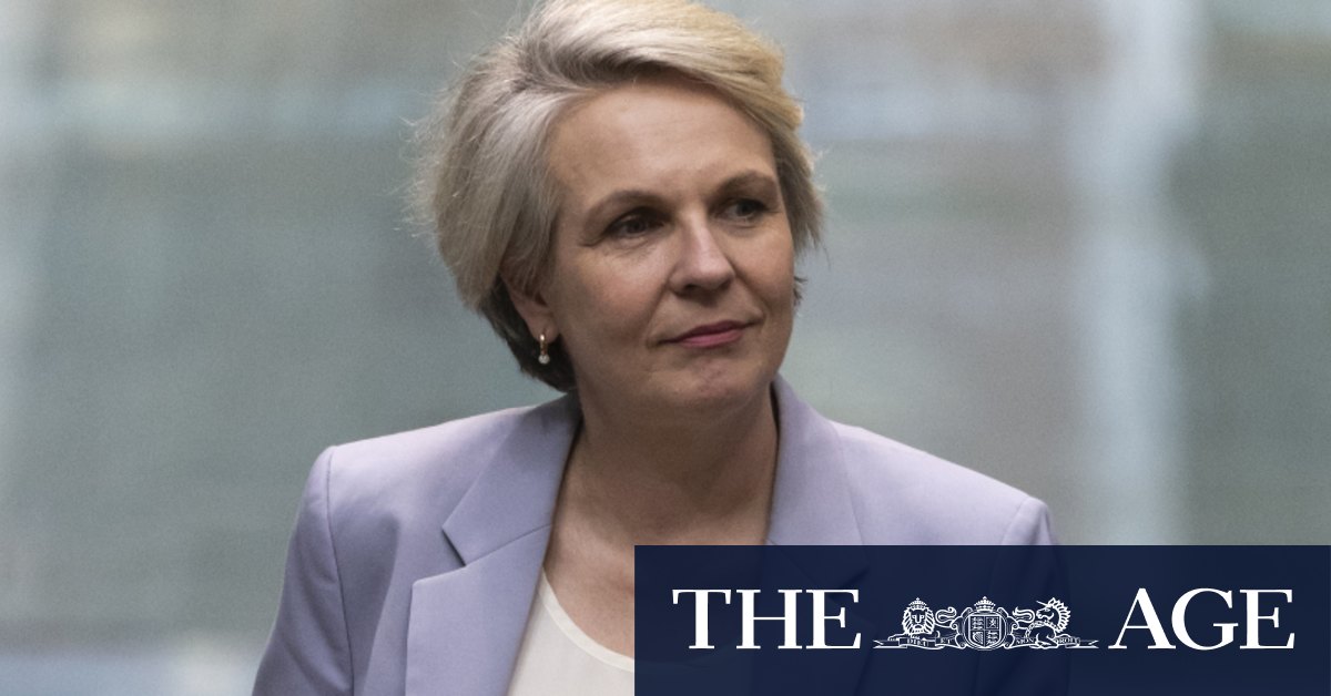 Inside Environment Minister Tanya Plibersek's delay in fixing 'broken' green laws - Vimarsana News