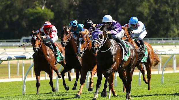 Racing returns to Gosford on Thursday.