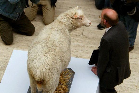 Dr Ian Wilmut, leader of the team that created Dolly the sheep - the world’s first mammal cloned from an adult cell - stands next to her as she goes on display at the National Museum of Scotland in Edinburgh, 2003.