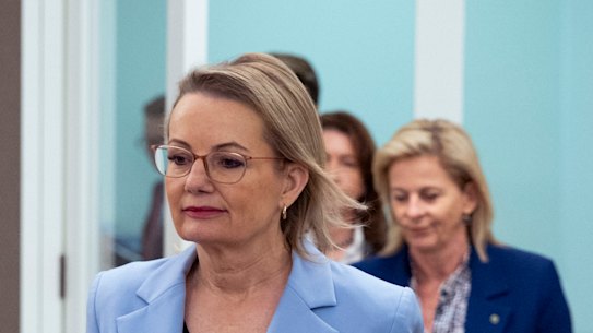 Leader of the Opposition Sussan Ley