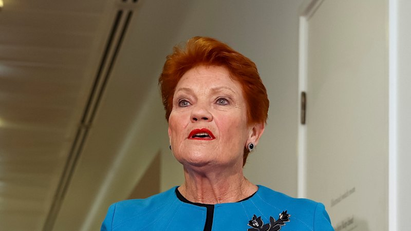 Hanson says Albanese driving One Nation staff to ‘collapse’