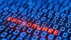 Many businesses don’t have the resources to fortify their cyber defences.