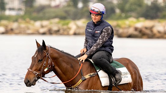 Lost and Running at Botany Bay