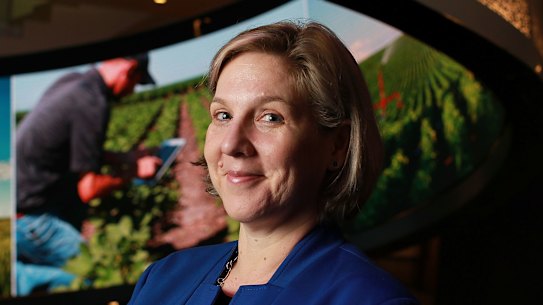 Telstra executive Robyn Denholm quits to be Tesla chairman