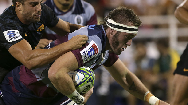 Super Rugby 2020 Queensland Reds Izack Rodda Isaac Lucas And Harry Hockings Stood Down