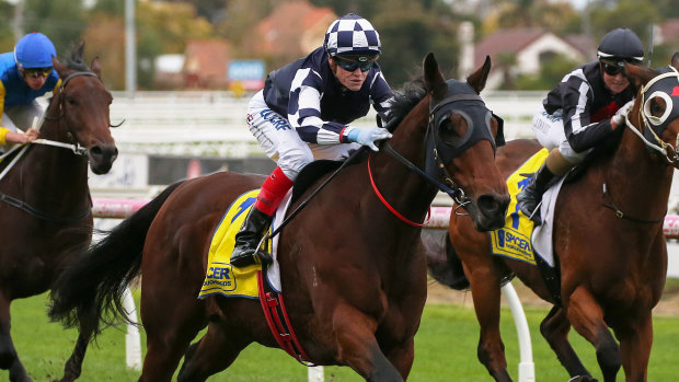 Craig Williams rides Order of Command to victory in race 8 at Caulfield on Saturday.