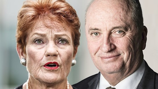 Barnaby Joyce has set himself up to take over the leadership of One Nation from Pauline Hanson.