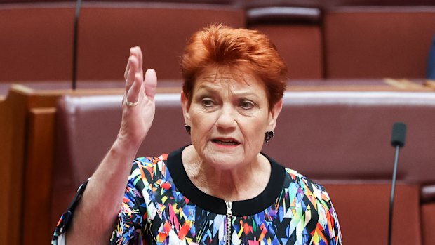 One Nation leader Senator Pauline Hanson in the Senate.