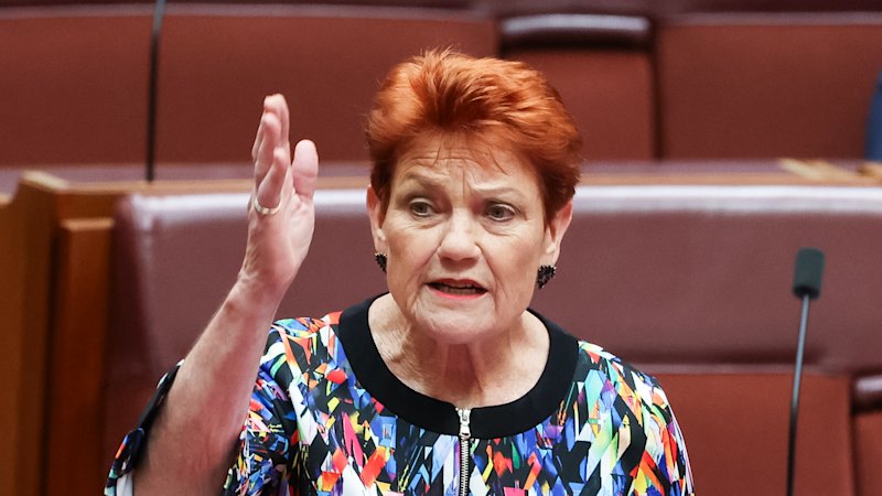 Pauline Hanson pulls a stunt and Muslims pay the price