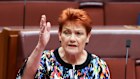 One Nation leader Senator Pauline Hanson in the Senate.