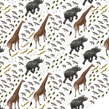 Global wildlife tracking could provide details on declining species, one million of which currently face extinction.