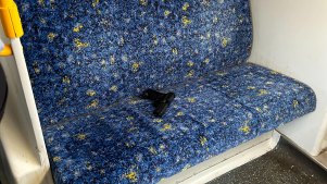 A gel blaster was found on a train going through Sydenham on Friday morning.