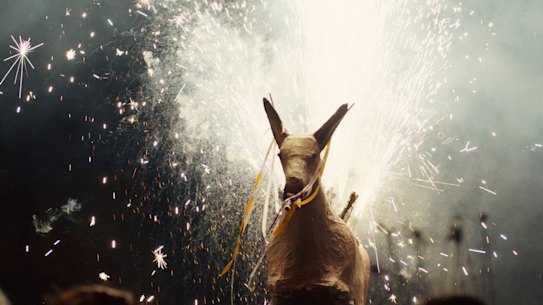 Angelica Mesiti ’The Rites of When