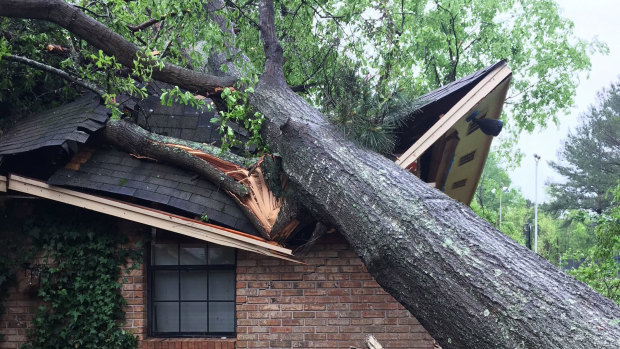 A downed tree rests on the roof of a home in Brandon, Mississippi. 