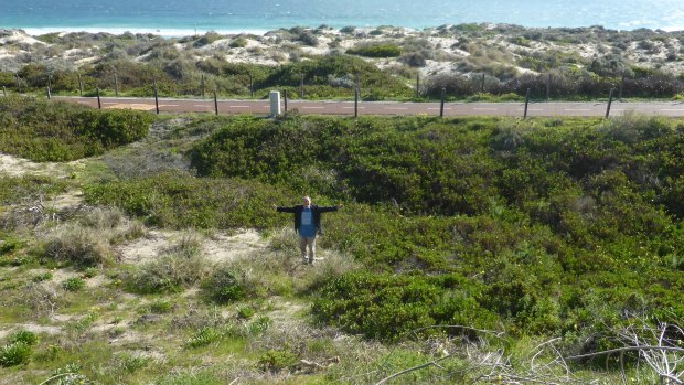 The area of coastal dune Norup + Wilson will clear, revegetate and fill. 