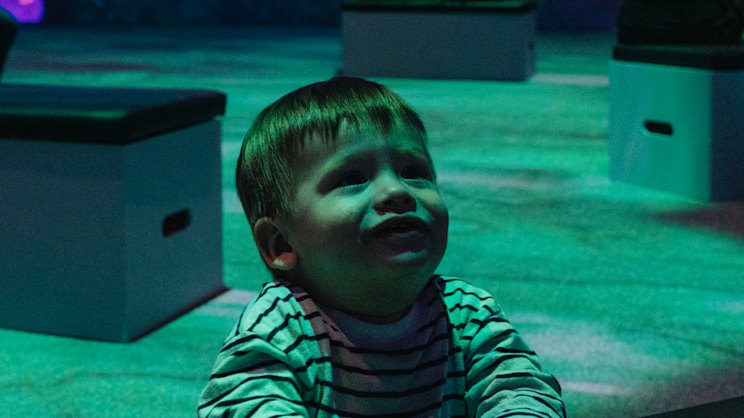 smh.com.au - Nicole Elphick - The 'huge and intimate' exhibition that lets you into the mind of an influential artist