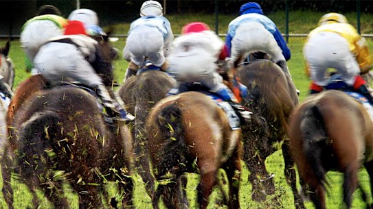 Rain is predicted for Moree Cup day.