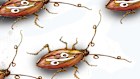 Concerns about so-called cockroaches in the kitchen of the private credit sector have built in the second half of the year. 