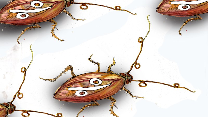Bathla collapse may be Australian private credit's cockroach moment