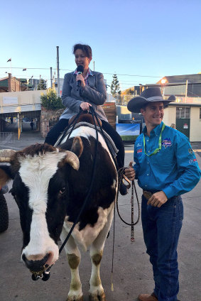 ABC Brisbane breakfast co-host Rebecca Levingston atop Bullseye the Bull.
