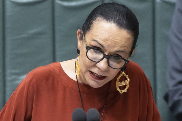 Minister for Indigenous Australians Linda Burney has foreshadowed a broader consultation process on the Voice will be announced in coming weeks.