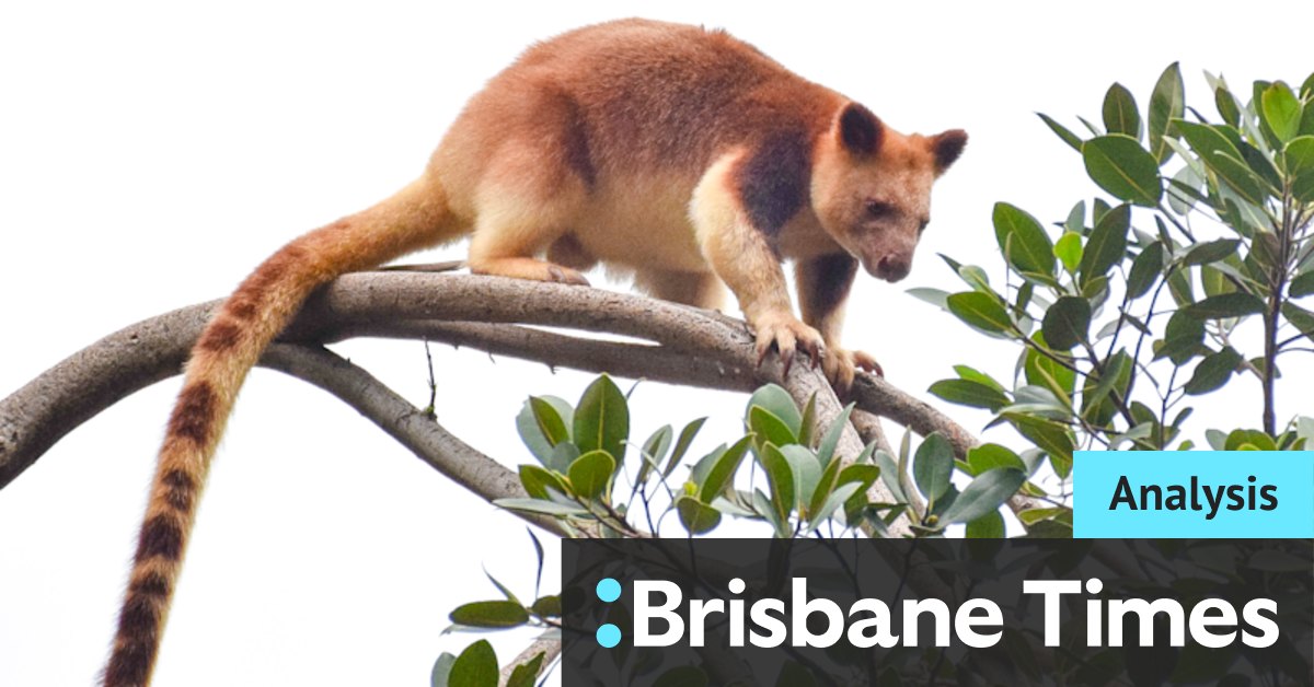 Please Explain Podcast: Australian wildlife and what makes them so strange - Vimarsana News
