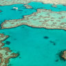 Great Barrier Reef export fishery banned for 'disappointing' failure
