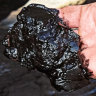 Royal National Park creek runs black after coal mine pollution incident