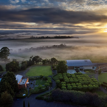 Yering Station, Yarra Valley, Victoria.
