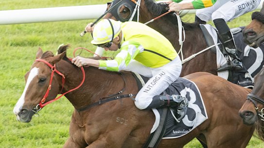 Eduardo charges away with the July Sprint at Rosehill