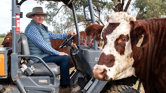 Jim Walker with his cattle on his property at Rawsonville just outside Dubbo.