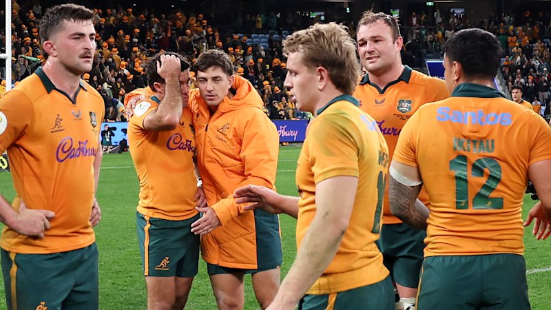 Wasteful Wallabies need to be hard on themselves after loss to Ireland (australia) — SMH