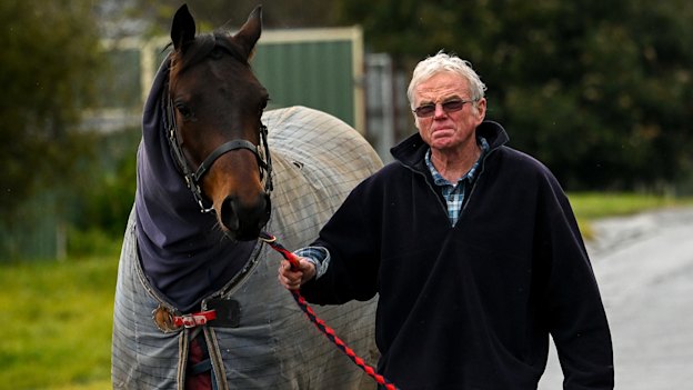 Former Aussie rules umpire Ian Stewart is calling for policy changes and funding to support athletes in receiving holistic healthcare following the impacts of concussions.