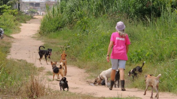 Corales would regularly take the dogs walking through the jungle.