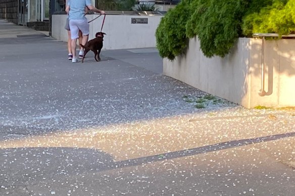 A glass balcony explosion narrowly missed pedestrians in South Melbourne's Albert Road. 