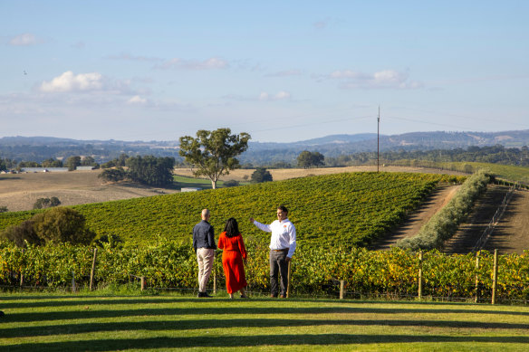 For eco-friendly wine lovers, this festive season pairs perfectly with a private tour of McLaren Vale.
