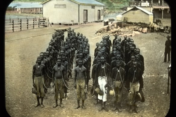 A photo titled: "Group of prisoners in neck chains, Wyndham, Western Australia", dated between 1898 and 1906.