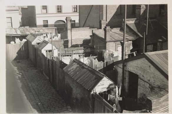 An elevated view of backyards in the Melbourne suburb of Fitzroy in the 1930s.