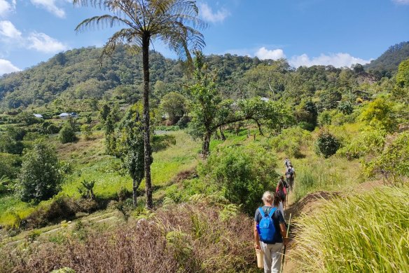 Put the Coast to Coast regenerative trail walk on your bucket list.