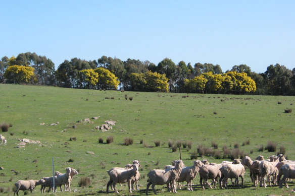 A new government scheme aims to create a market where farmers directly trade credits earned in carbon abatement and biodiversity gains with private companies looking for offsets. 