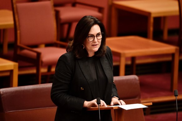 Labor senator Deborah O’Neill has accused PwC of dodging accountability for the tax leak.