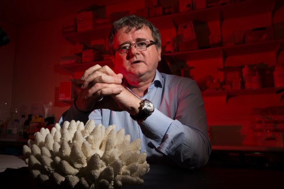 Professor Terry Hughes of the Australian Research Council Centre of Excellence for Coral Reef Studies at James Cook University.