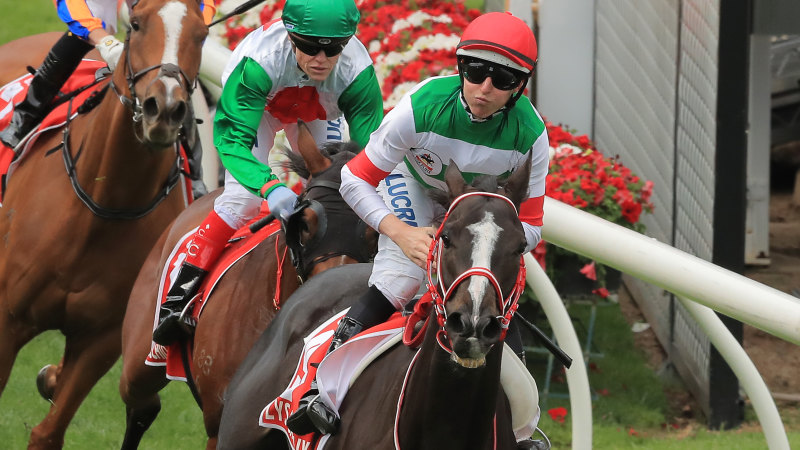 Spring Carnival Urged To Avoid Afl Finals Clash