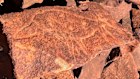 More than 1 million petroglyphs are scattered around Murujuga National Park.