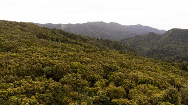 Mother and teenagers save bushwalker’s life with human heat circle